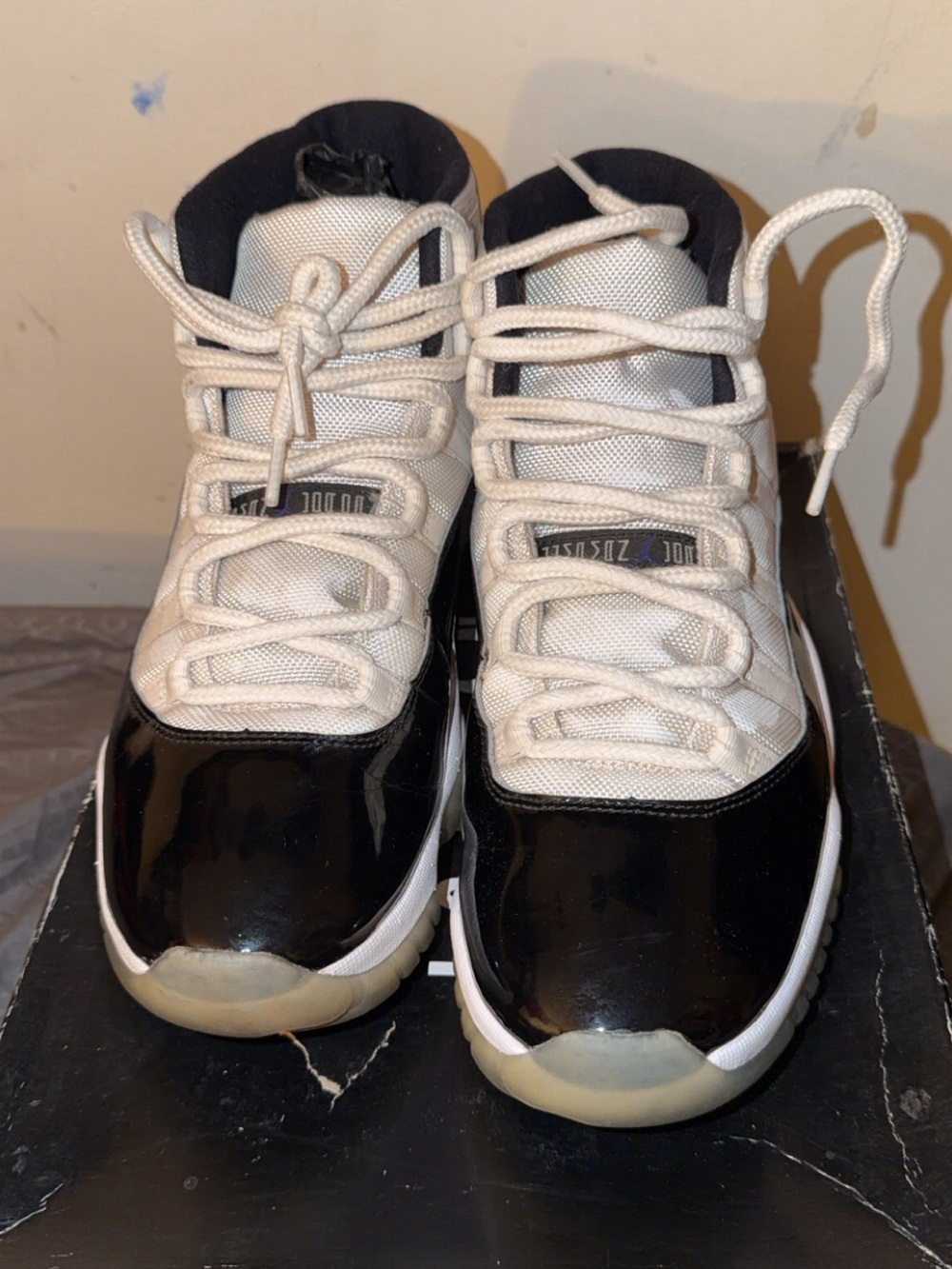 Size 11 - Jordan 11 Retro High Concord